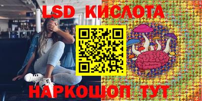 СК Сланцы