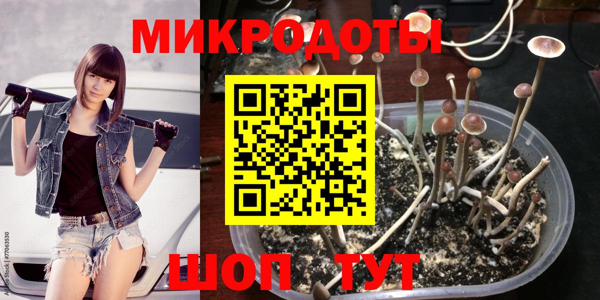 Галлюциногенные грибы ЛСД Ревда