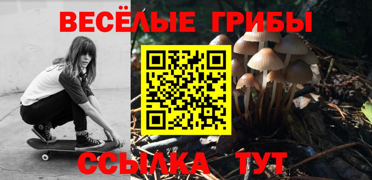 Ревда  Псилоцибиновые грибы мухоморы  Вход с VPN 